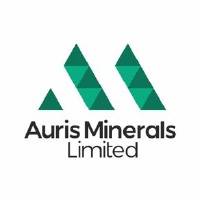 Auris Minerals logo