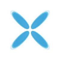 RareX logo