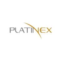 PTX Metals logo