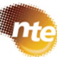 New Times Corporation logo