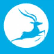 Allegro Culture logo