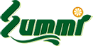 Summi (Group) Holdings logo
