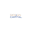 Design Capital logo
