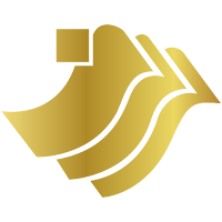 China Success Finance Group Holdings logo