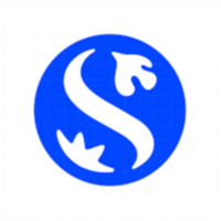Shinhan Financial Group logo