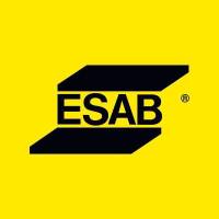 ESAB India logo