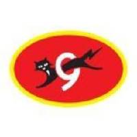 Eveready Industries India logo