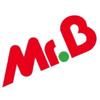 Mr.Bricolage logo