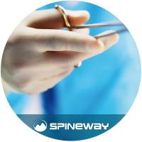 Spineway logo