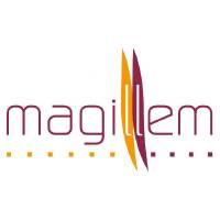 Magillem Design Services logo
