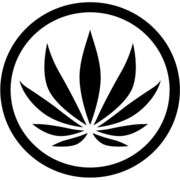 Choom Holdings logo