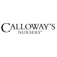 Calloway's Nursery logo