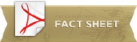 Zonte Metals logo