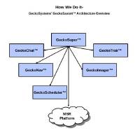 GeckoSystems International logo