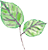 JIVA Technologies logo