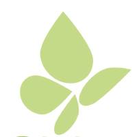 Pieridae Energy logo