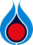 PTT Public Company logo