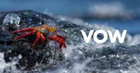 Vow ASA logo