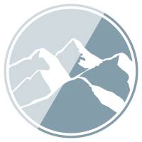 Summa Silver logo