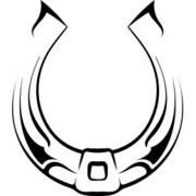 Gaucho Group Holdings logo