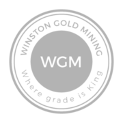 Winston Gold logo