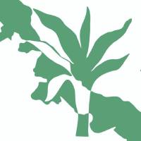 Azucar Minerals logo