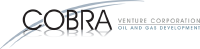 Cobra Venture logo