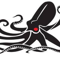 Kraken Robotics logo