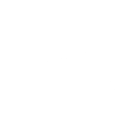 The Platform Group AG logo